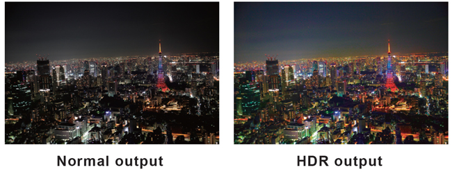 HDCP (2.2/1.4)/ HDR/ CEC/ ARC support