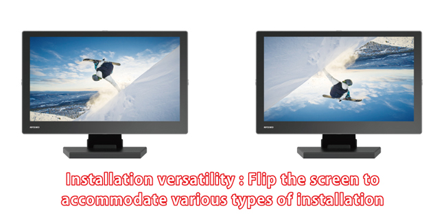 Pixel-to-pixel mode and Image flip function