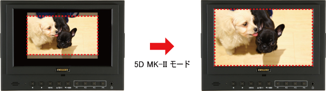 5D MK-IIモード
